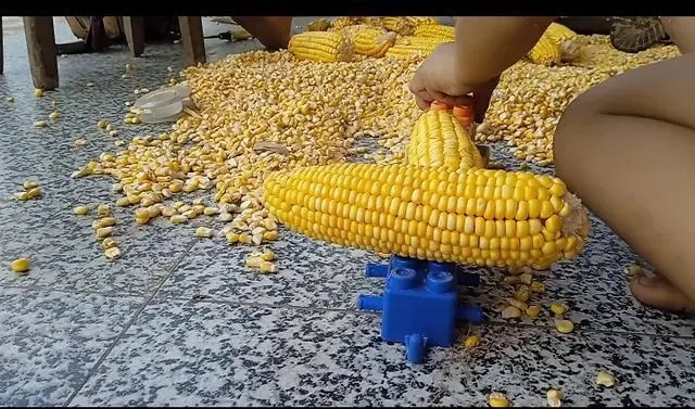 天天种玉米怎么发幽默说说文案