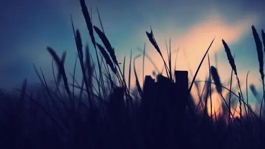 适合男生发的伤感文案