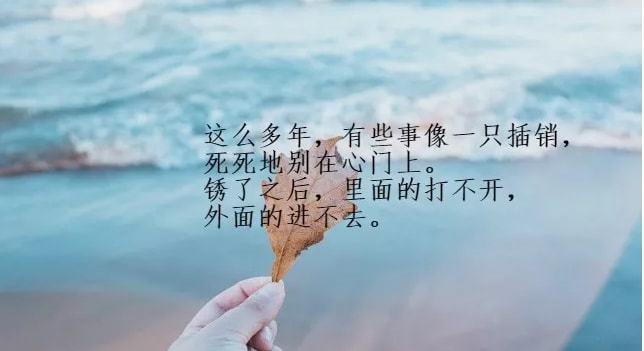发朋友圈最好的经典句子文案