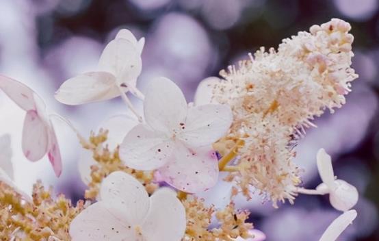 关心体贴的话语