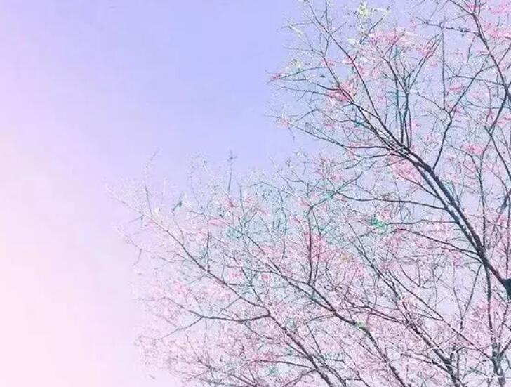 沉默的诗句和优美句子文案