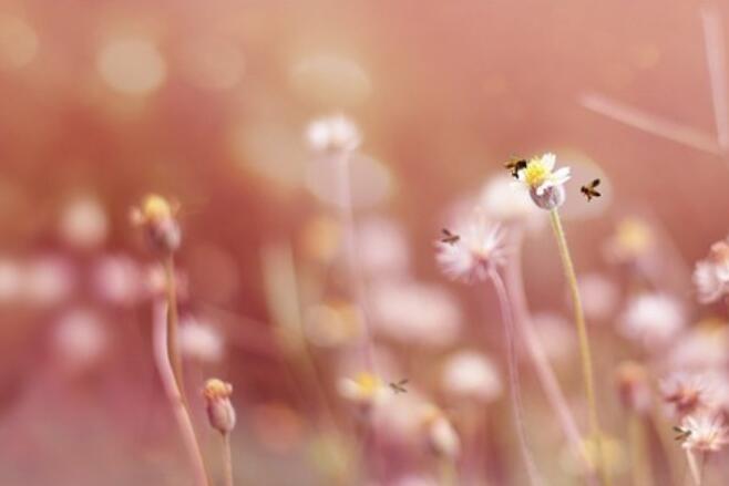 充满正能量努力奋斗的句子文案