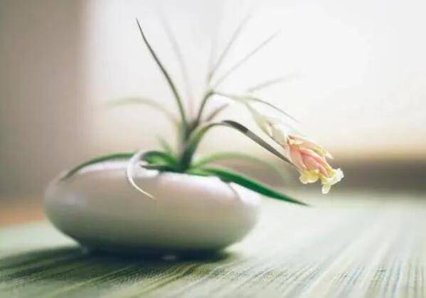 知恩图报的优美句子文案