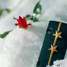 关于异地军恋感情语录文案