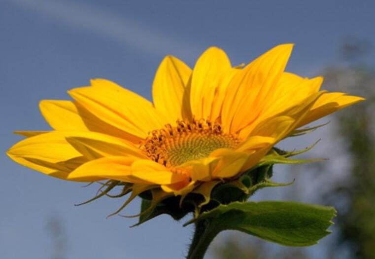 幸福祝福语简短内容