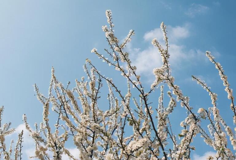 唯美励志的句子文案致自己