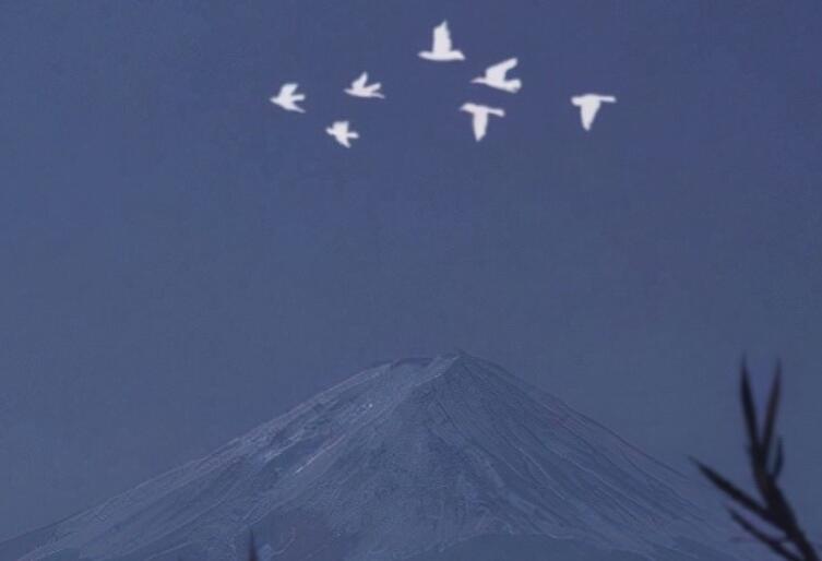 一个人其实挺好的说说文案