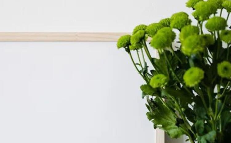 人生落哲理的句子文案