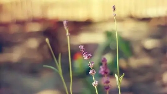 被冤枉心里委屈的说说文案