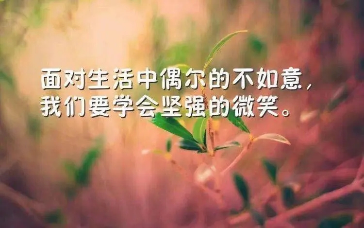 热爱生活正能量的句子文案