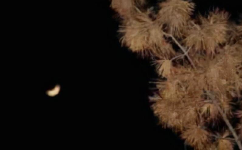 人与人相处太复杂说说文案