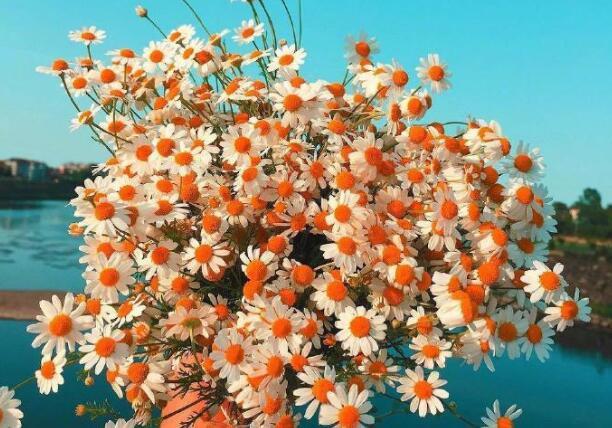 悲伤的话简短一些