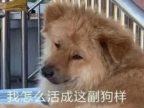 搞笑冲业绩朋友圈文案