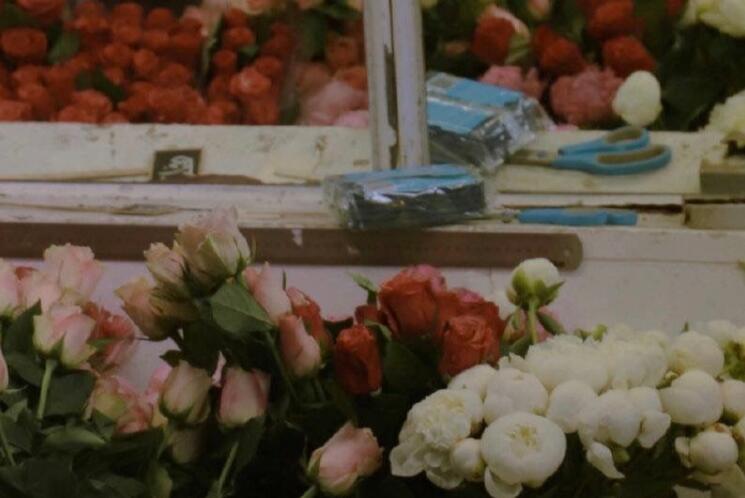 关于玫瑰花的爱情句子文案