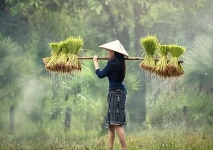 关于劳动的古诗大全(精选)