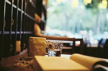 人生若如初相见语录文案