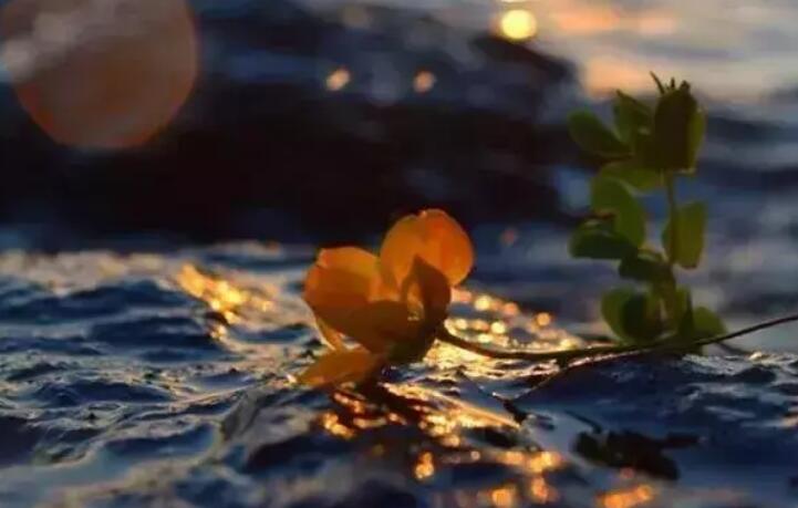 形容相聚快乐时光的句子文案