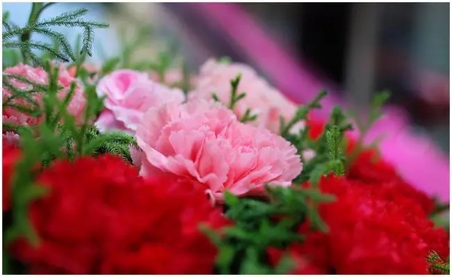 想你满脑子都是你的说说文案