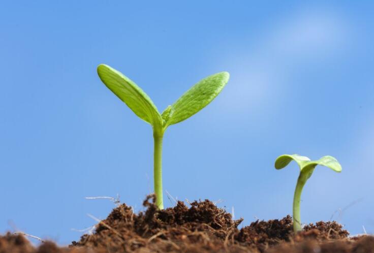 有关努力的唯美句子文案