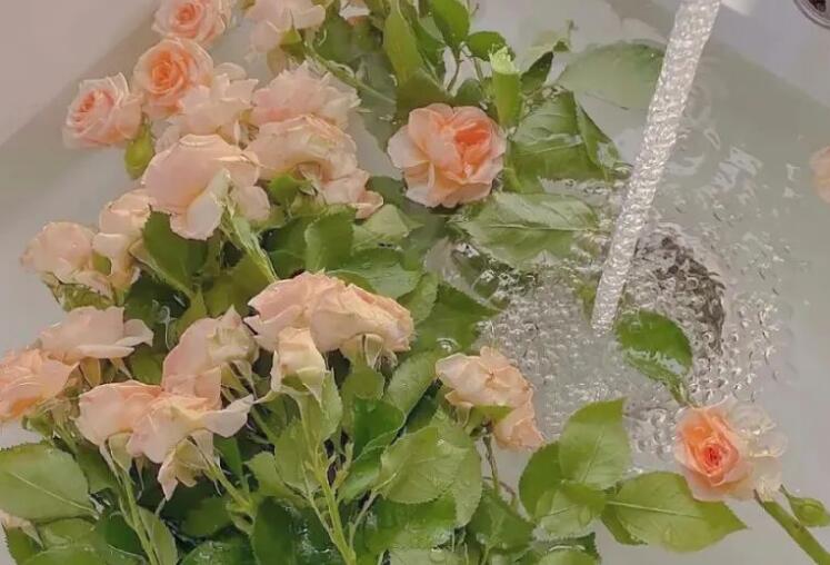 深情短句的个性签名