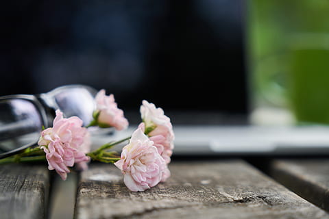 情侣爱情宣言短句