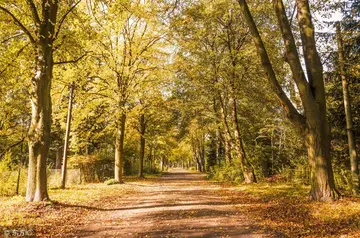 关于环境描写的句子文案