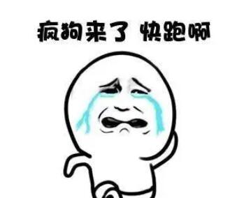 不与疯狗计较的名言