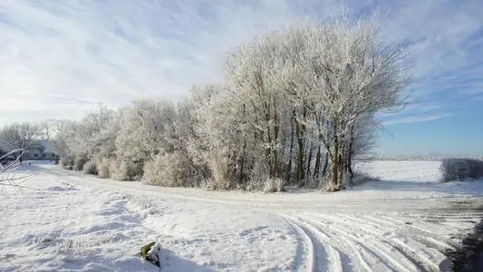 第一场雪的唯美说说文案