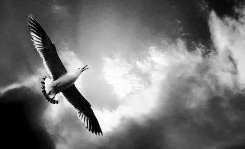 追求极致的句子文案