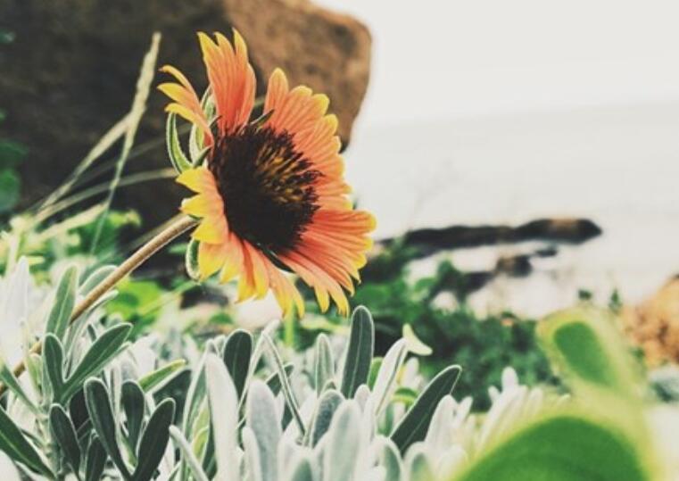 描写舒服的句子文案