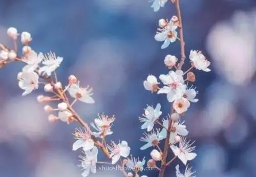 很污的早安的说说文案