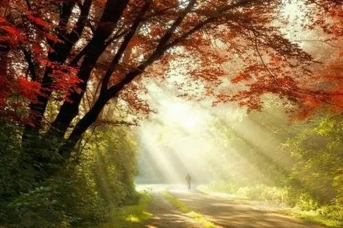 一缕阳光唯美的语录文案