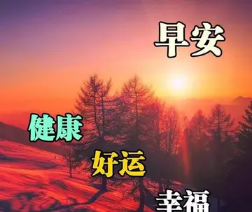 感谢朋友每天早安问候