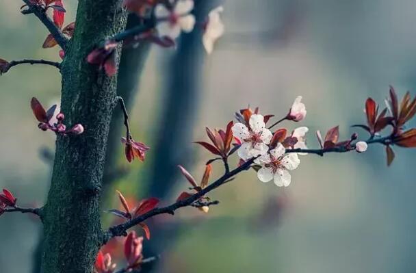 感谢某人对我一直很好的句子文案