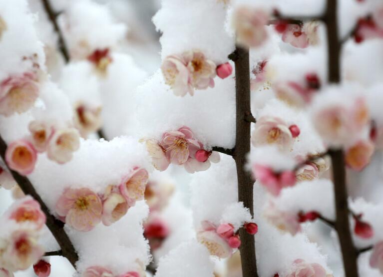 形容十二月的唯美语句文案