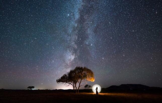 飞花令夜字的诗词大全