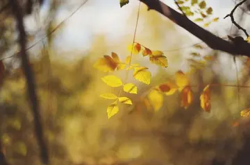 今天有点冷的说说文案