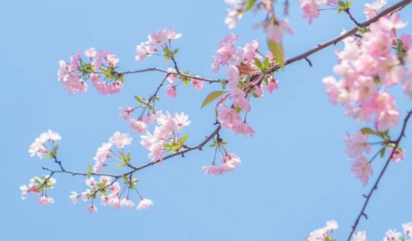 向往清静生活的诗句文案