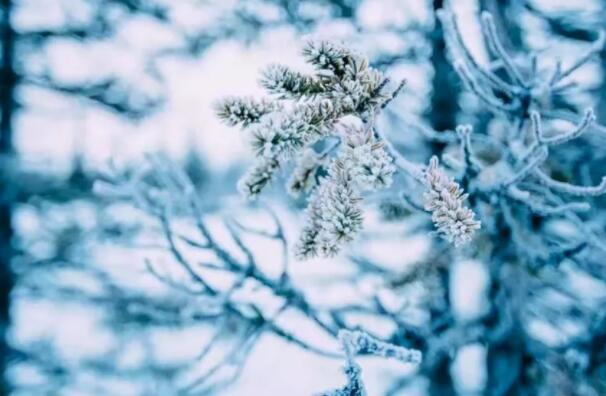 下雪的古诗词浪漫