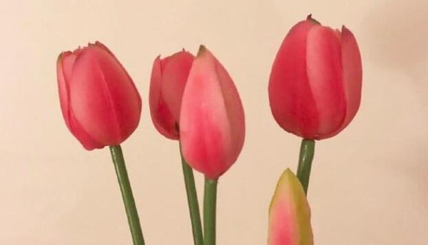 早安说说文案朋友圈简短