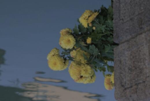 感冒难受的说说文案心情