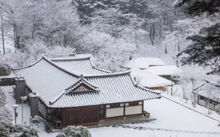 杜甫的诗小学10首