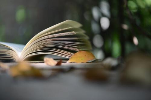 关于阅读的唯美短句