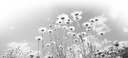 安慰人的话亲人去世