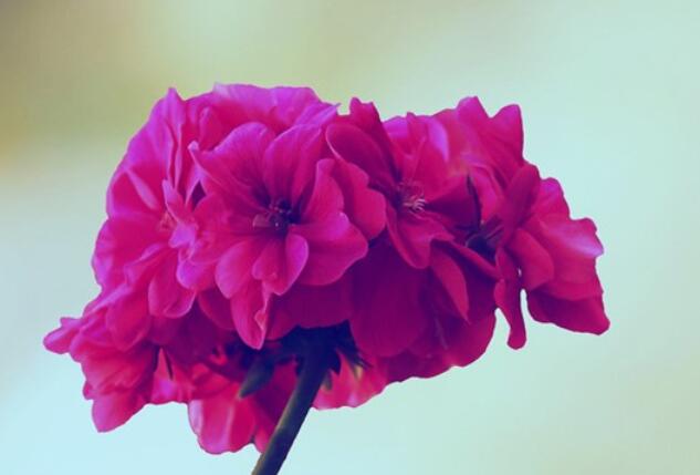 鼓励我们努力生活的鸡汤名句文案