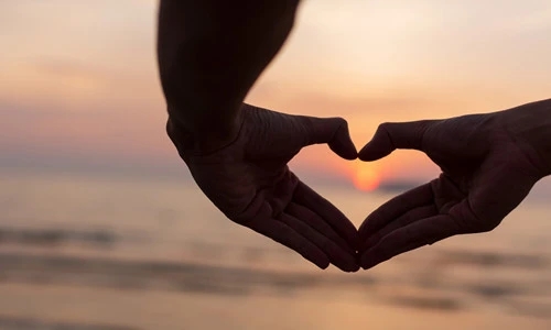 奉献的优美句子文案