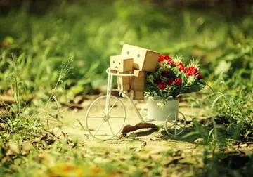 平淡而安稳的生活句子文案