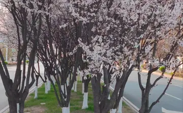 春天已过去夏天要到的句子文案