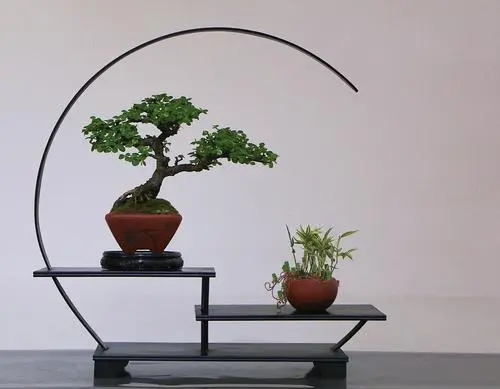 赞美盆景的诗词