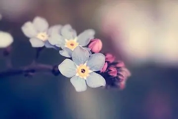 梦想与青春的励志句子文案